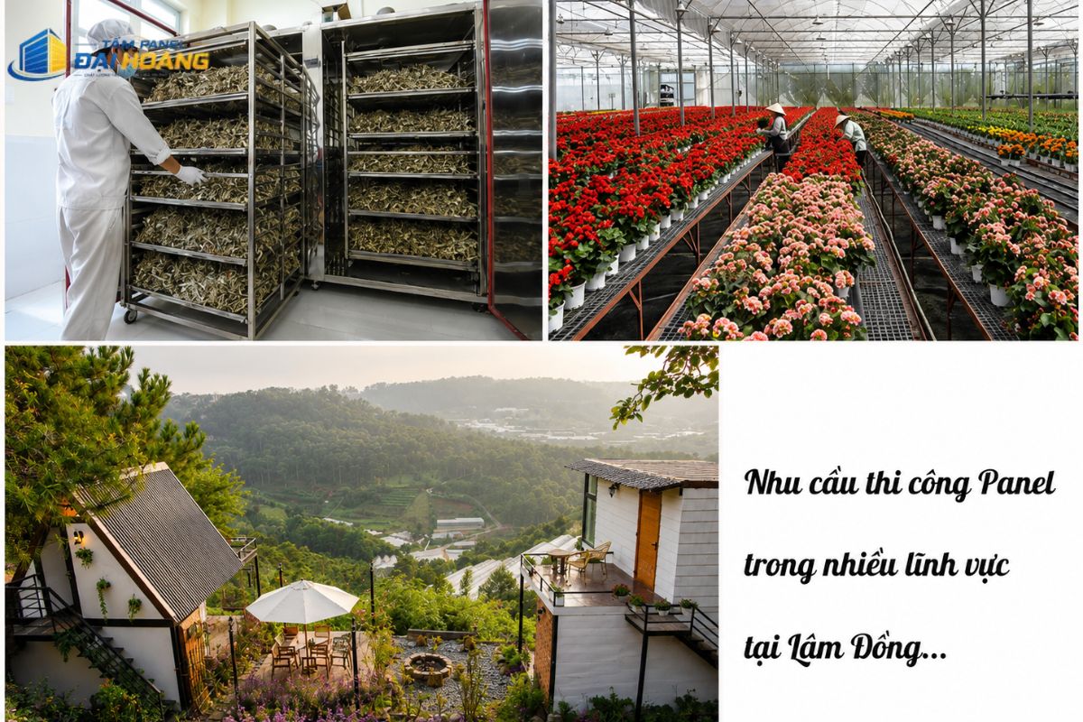 Thi công tấm panel Lâm Đồng cho nhà xưởng và khu sơ chế giúp rút ngắn tiến độ xây dựng và dễ dàng cải tạo